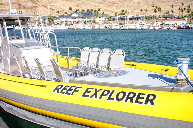 Maui Snorkel Adventure: Molokini Crater and Turtle Cove - Is $198 a Fair Price?