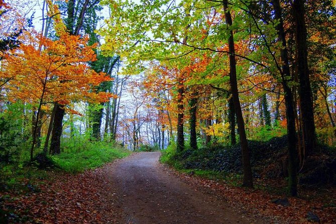 Medieval Villages & La Garrotxa Volcanic Zone Hiking. Small Group Tour - The optional three-course Catalan lunch