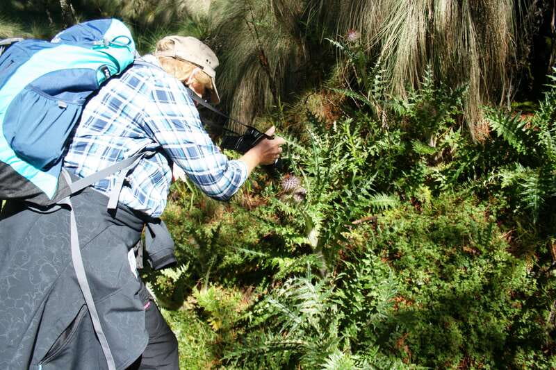 Mexico City: Guided Volcano Trek with Lunch - Key points to know before booking