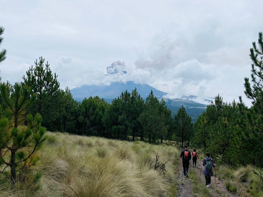 Mexico City: Guided Volcano Trek with Lunch - A changing route through forest and ravine