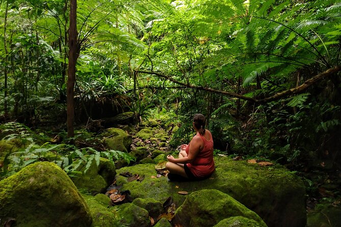 Mindfulness Rainforest Hike, Forest Bathing, Volcanic Hot Springs - Key points before you book