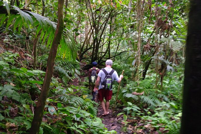 Mindfulness Rainforest Hike, Forest Bathing, Volcanic Hot Springs - Mindfulness, stretches, and simple body care