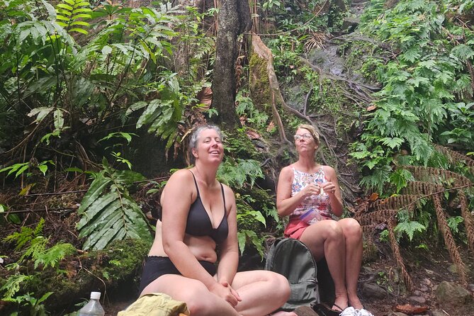 Mindfulness Rainforest Hike, Forest Bathing, Volcanic Hot Springs - Is $175 a good value?