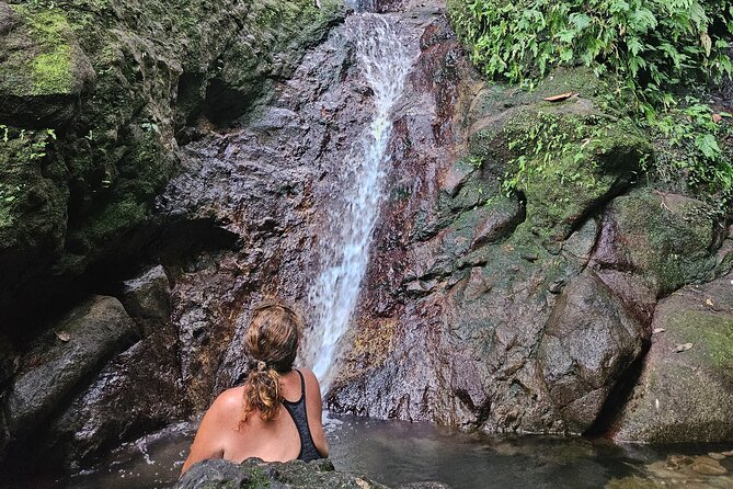 Mindfulness Rainforest Hike, Forest Bathing, Volcanic Hot Springs - Walking into the rainforest at a measured pace