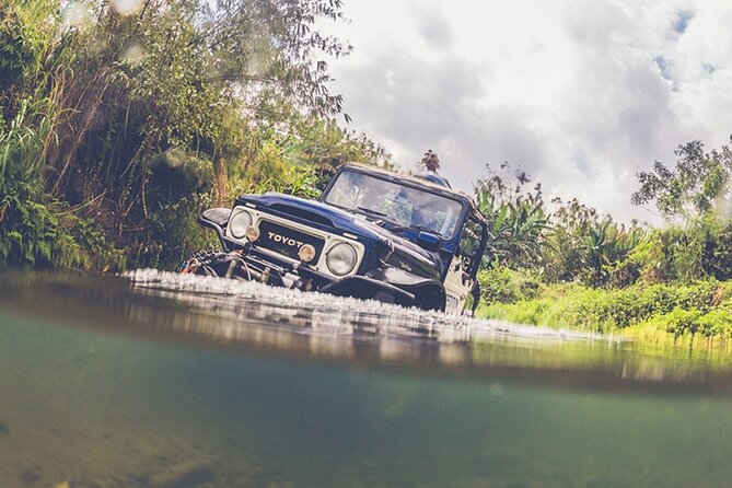 Mount Batur Black Lava Jeep Tour with Pickup - Is $40 a fair price?