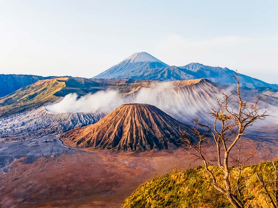Mount Batur: Private Volkswagen Volcano Safari - Lunch with a view, then coffee and tea