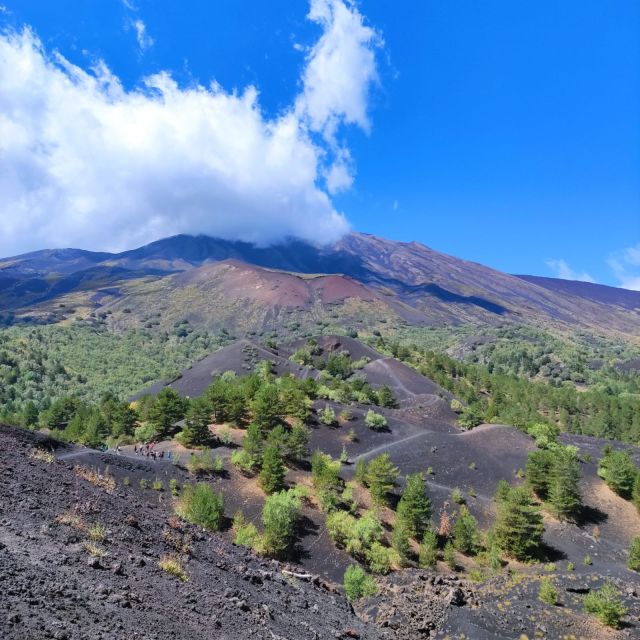 Mount Etna and Alcantara Gorges Day Trip - What this Mount Etna day trip actually covers