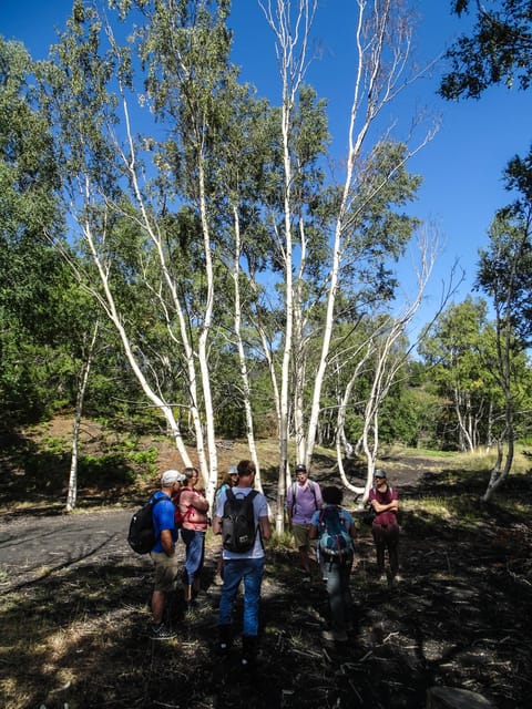 Mount Etna and Alcantara Gorges Day Trip - Transport, group size, and the long day