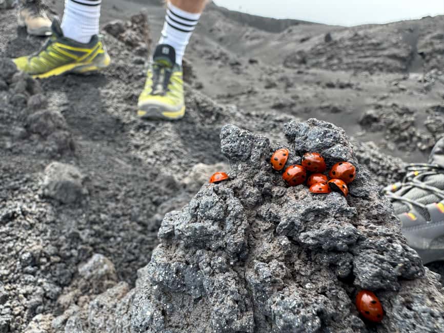 Mount Etna: Day trip to the high altitude craters at 3000 meters trekking - What the Guide Adds to the Day