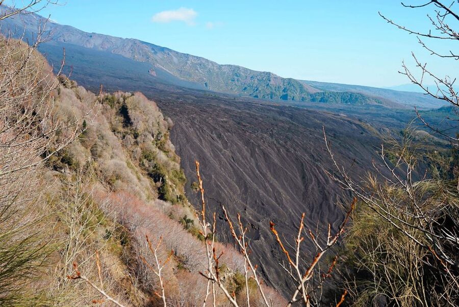 Mount Etna: Half-day Morning Jeep Tour - Who should book this morning adventure?