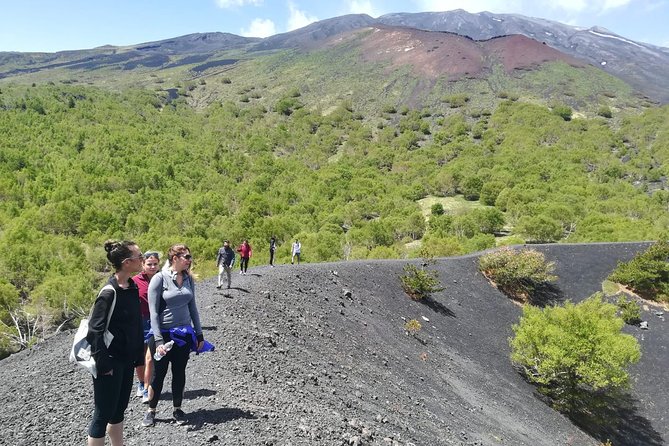 Mount Etna Half-Day Small Group Tour from Taormina - At a glance