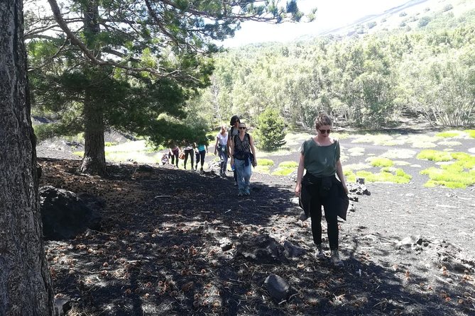 Mount Etna Half-Day Small Group Tour from Taormina - The chalet stop: wine, snacks, and mixed expectations