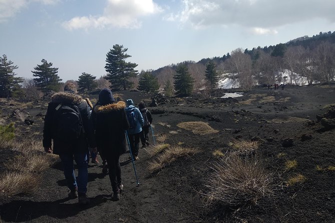 Mount Etna Half-Day Small Group Tour from Taormina - How difficult is the hike?