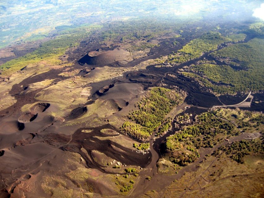Mount Etna: Private Trek on the North Slope Craters - Seeing the remains of Ragabo Pinewood
