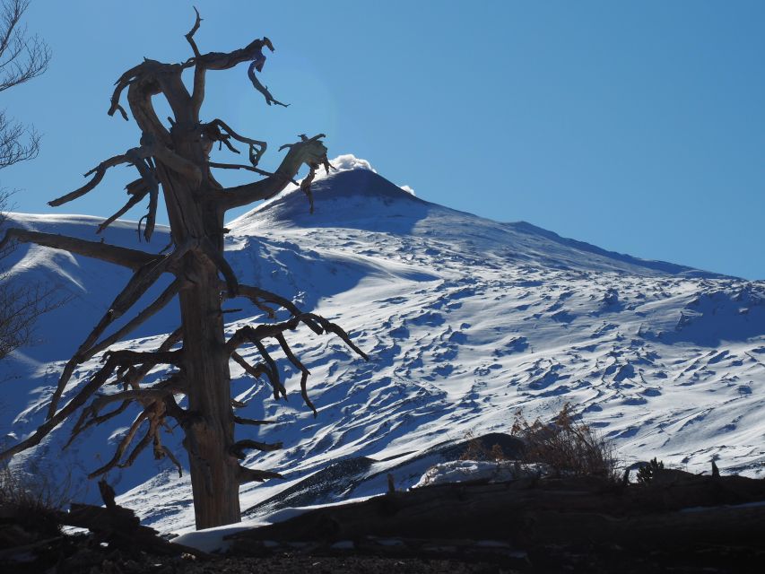 Mount Etna: Trek to the Craters of The 2002 Eruption - Key things to know before walking on Etna