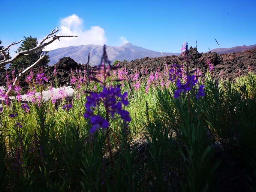 Mount Etna: Trek to the Craters of The 2002 Eruption - What the guide adds to the experience