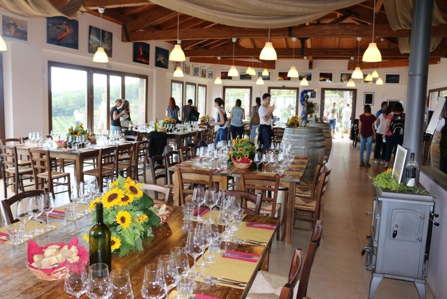 Mount Etna: Winery Tour and Tasting - The winery visit and what you may actually see