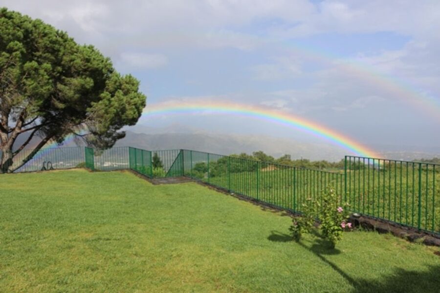 Mount Etna: Winery Tour and Tasting - The pace is relaxed, not rushed