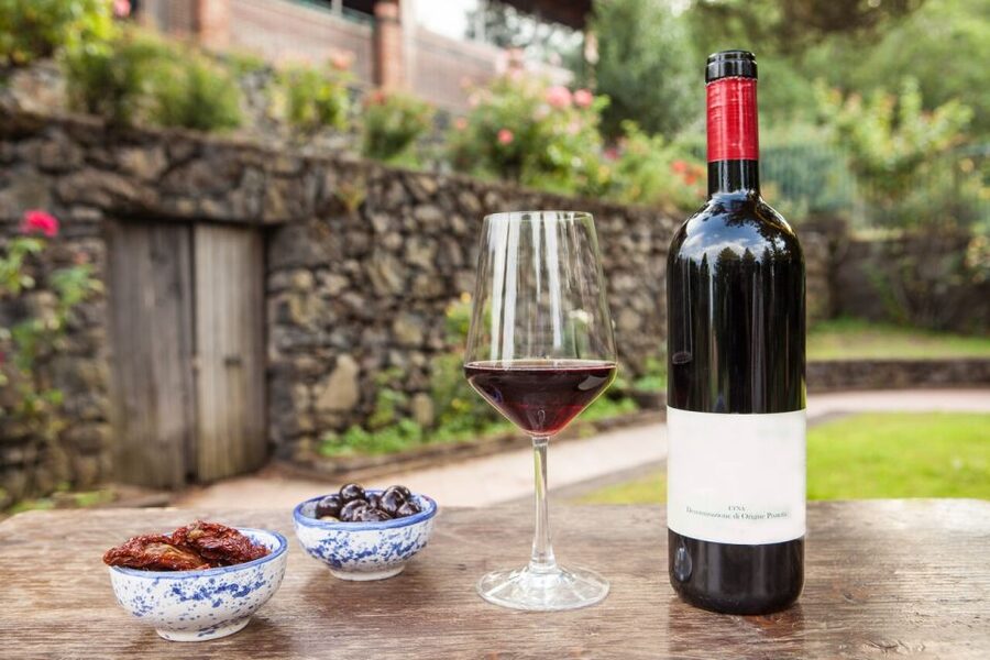 Mount Etna: Winery Tour and Tasting - The welcome toast sets the tone
