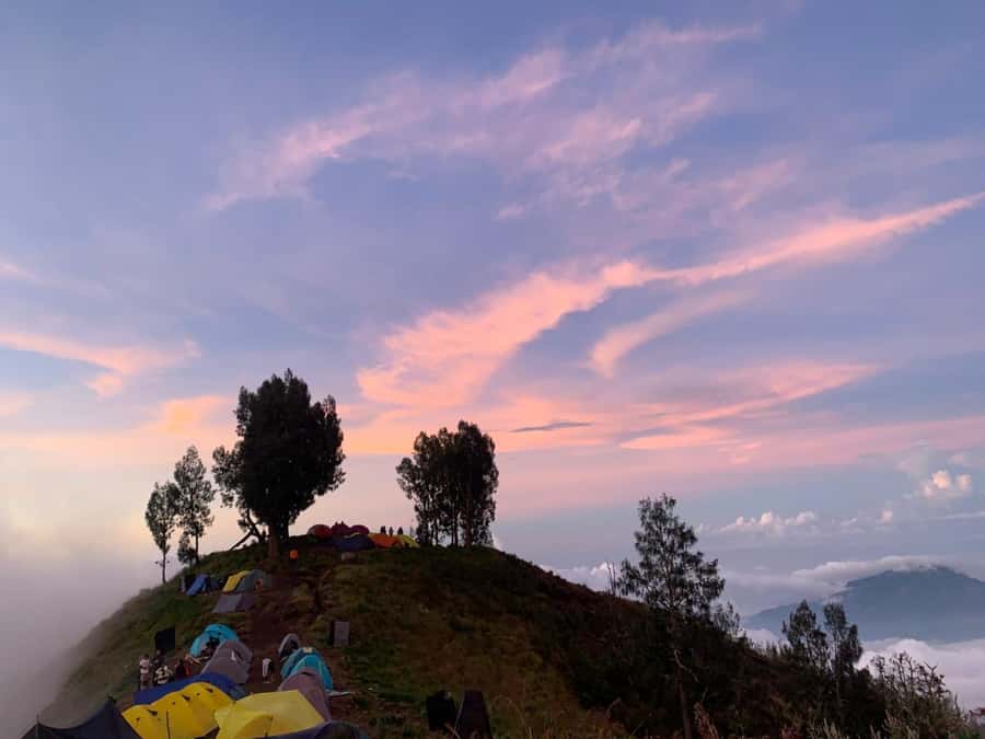 Mount Rinjani: 3D2N Summit, Lake & Senaru Crater Rim - Day three: rainforest descent to Senaru Village