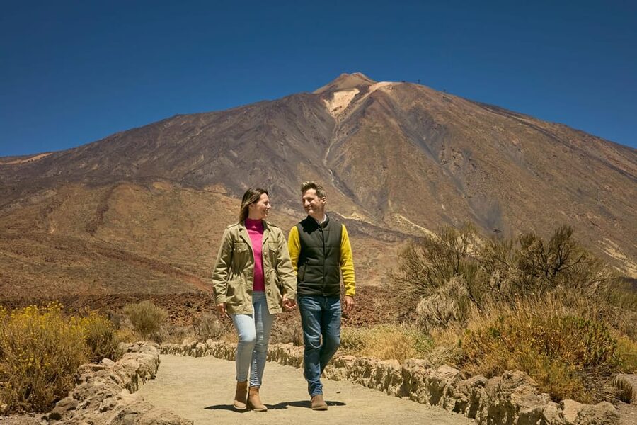 Mount Teide: Day Trip to Volcano Teide Without Cable Car - The climb through Tenerife’s changing zones
