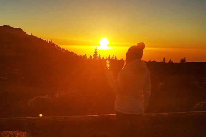 Mount Teide Stargazing with Dinner - Dinner at a Canarian restaurant