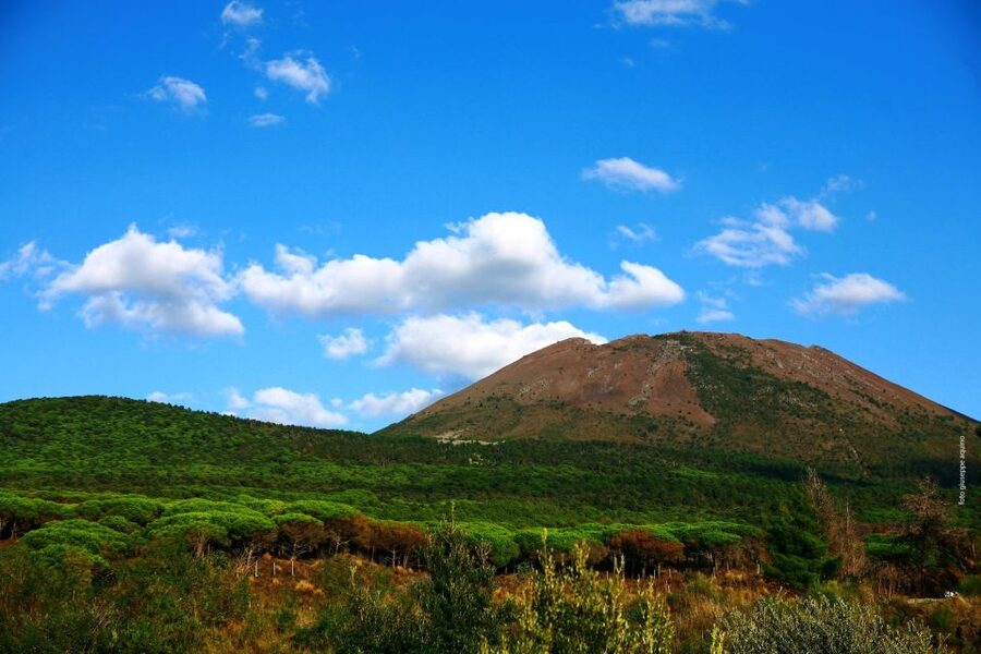 Mount Vesuvius 4-Hour Volcano Tour with Wine Tasting - The crater guide and what the commentary adds