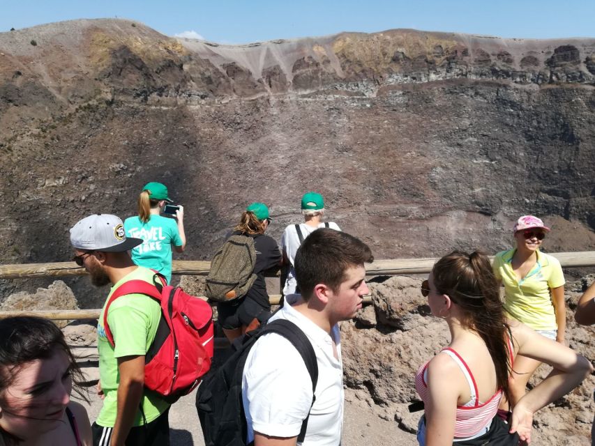Mount Vesuvius 4-Hour Volcano Tour with Wine Tasting - Who will enjoy this tour most