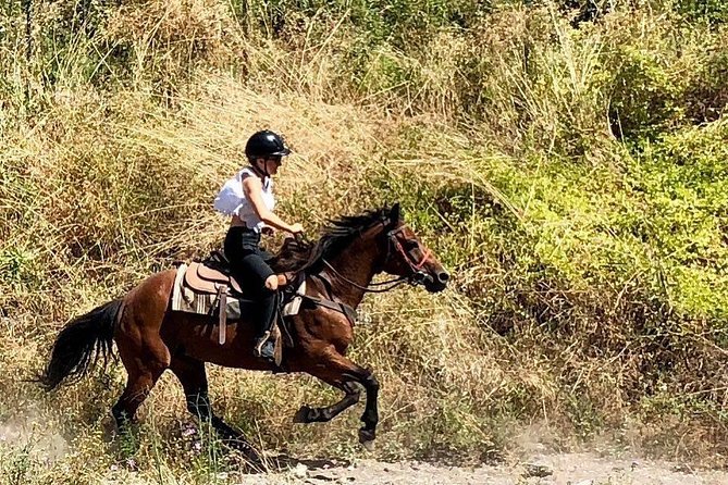 Mount Vesuvius Guided Horse Riding Tour with Sample Wine - Leaving Naples for the volcanic slopes