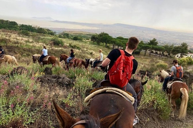 Mount Vesuvius Guided Horse Riding Tour with Sample Wine - Views of Naples Bay from a different angle