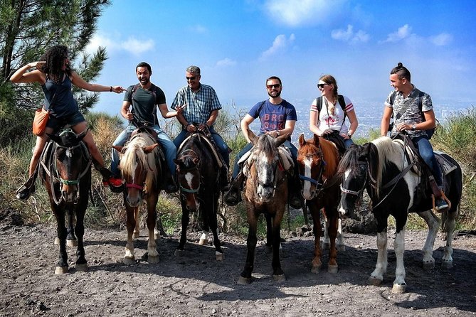 Mount Vesuvius Guided Horse Riding Tour with Sample Wine - Are the horses well cared for?