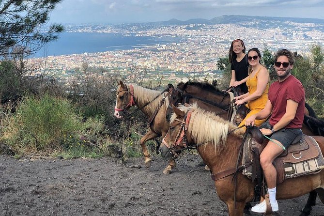 Mount Vesuvius Guided Horse Riding Tour with Sample Wine - Who should book this ride?