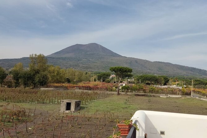 Mount Vesuvius Half Day Private Tour - Reaching the higher parking area