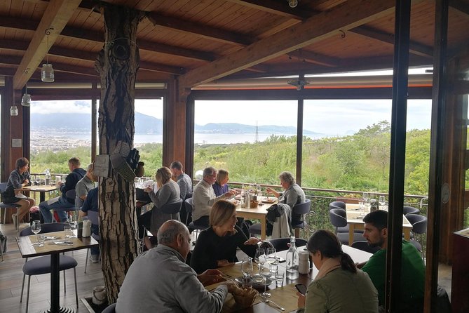 Mount Vesuvius Shore Tour, Pompeii & Winery Vesuvius Winery - Wine on the lower slopes of Vesuvius