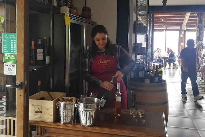 Mount Vesuvius Shore Tour, Pompeii & Winery Vesuvius Winery - Who should choose this tour?