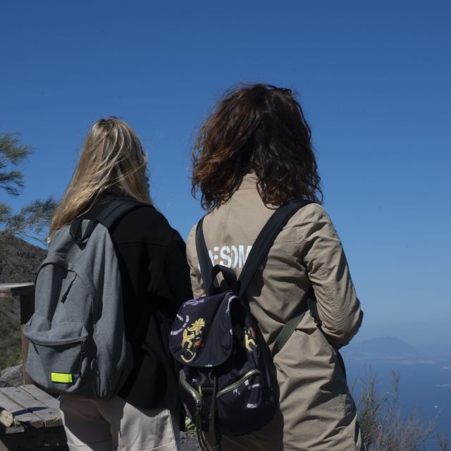 Mount Vesuvius: Skip-the-Line Ticket and Smart Digital Guide - Reaching the crater from Pompeii or Naples