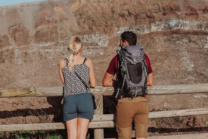 Mount Vesuvius Skip the Line Ticket + Multilingual Audio Guide - Key points to know before climbing Vesuvius