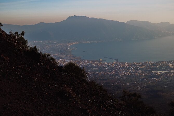 Mount Vesuvius Skip the Line Ticket + Multilingual Audio Guide - What the Mount Vesuvius ticket actually gives you