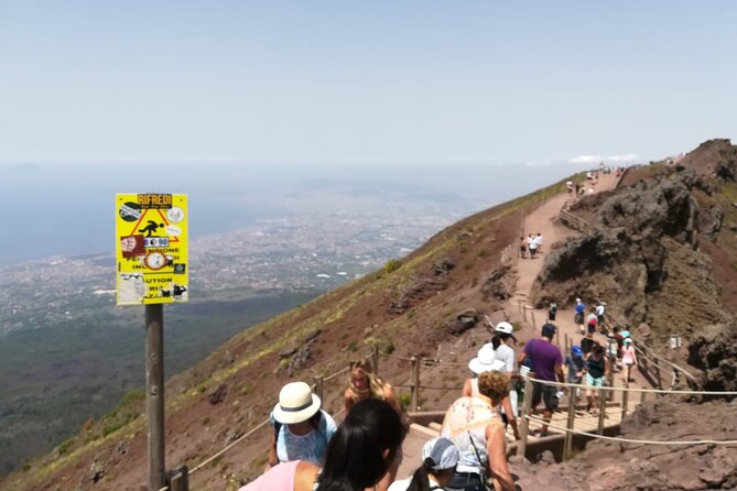 Mount Vesuvius tour by bus and ticket included from Ercolano - Walking the Gran Cono Path No. 5