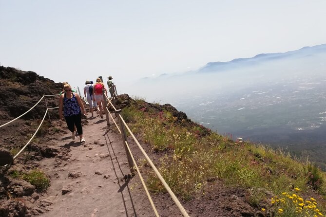 Mount Vesuvius tour by bus and ticket included from Ercolano - What the crater visit feels like