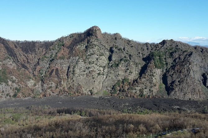 Mount Vesuvius tour by bus and ticket included from Ercolano - Timing, queues, and the return bus