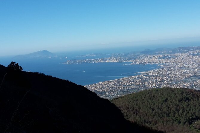 Mount Vesuvius tour by bus and ticket included from Ercolano - Pairing Vesuvius with Herculaneum