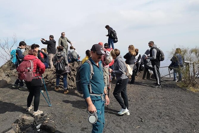 Mount Vesuvius tour by bus and ticket included from Ercolano - Who will enjoy this trip most