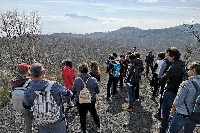Mount Vesuvius tour by bus and ticket included from Ercolano - The bus ride to 1,000 meters