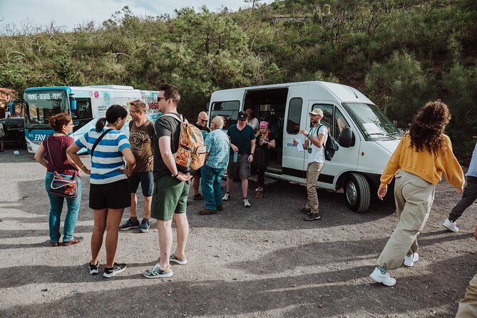 Mount Vesuvius Tour from Pompeii Led by an Expert Guide - Price and value at $78.64