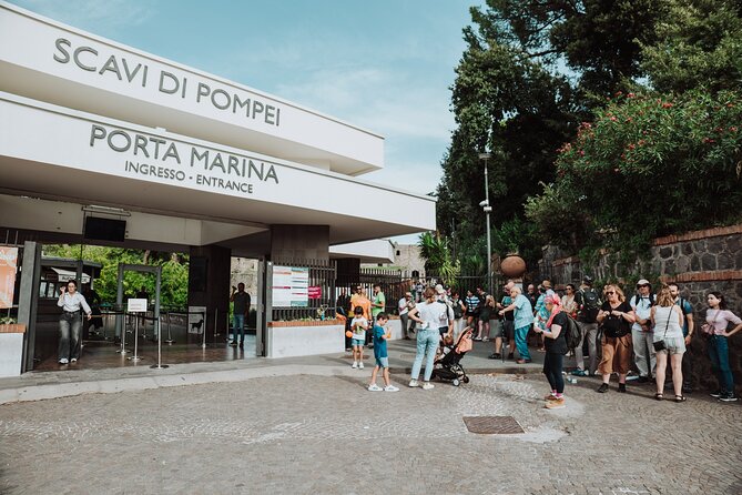 Mount Vesuvius Tour from Pompeii Led by an Expert Guide - The Vesuvius National Park hike