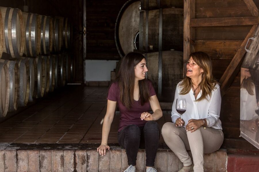 Mount Vesuvius: Vineyard Tour with Wine Tasting and Lunch - Who should book this experience?