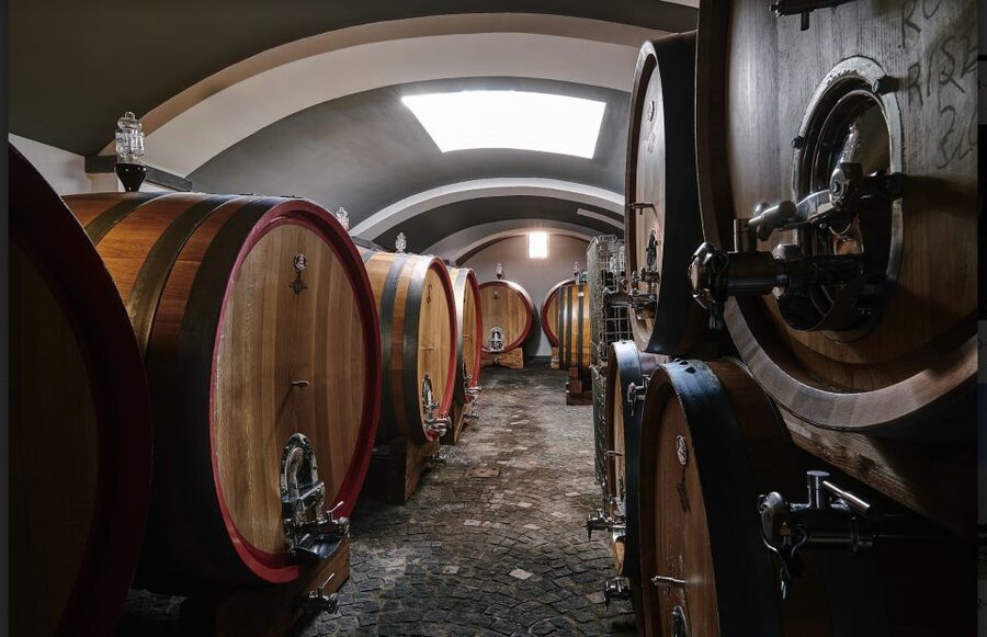 Mount Vesuvius: Vineyard Tour with Wine Tasting and Lunch - The wine tasting: white, rosé, and red