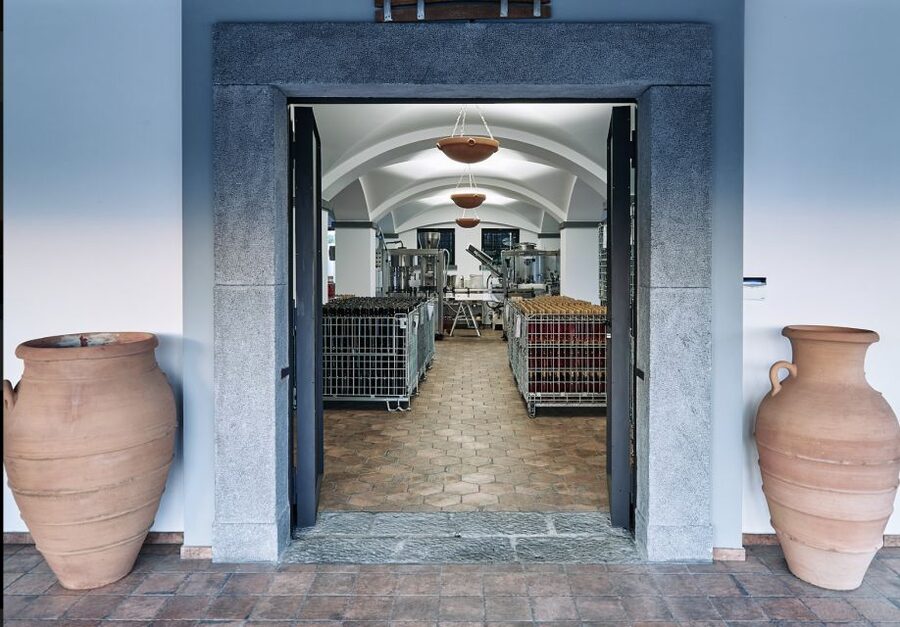 Mount Vesuvius: Vineyard Tour with Wine Tasting and Lunch - Is $65 a good value?