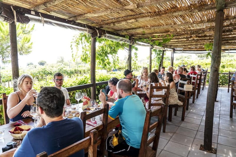 Mount Vesuvius: Vineyards Tour with Wine Tasting and Lunch - Should you book it?